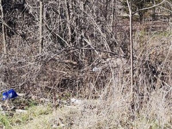 37 Oakdale Court, Linn Valley, KS 66040