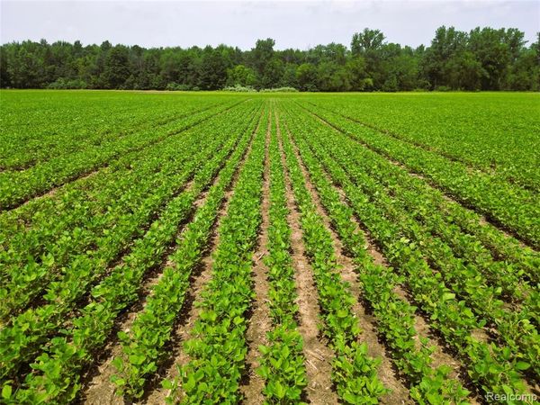 9654 BIRCH RUN Road , Arbela Twp, MI 48746