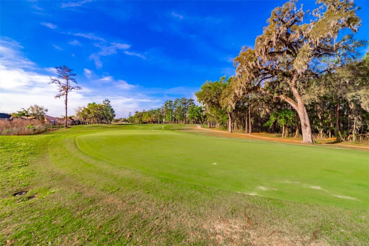 4347 Gevalia Drive, Brooksville, FL 34604 Photo