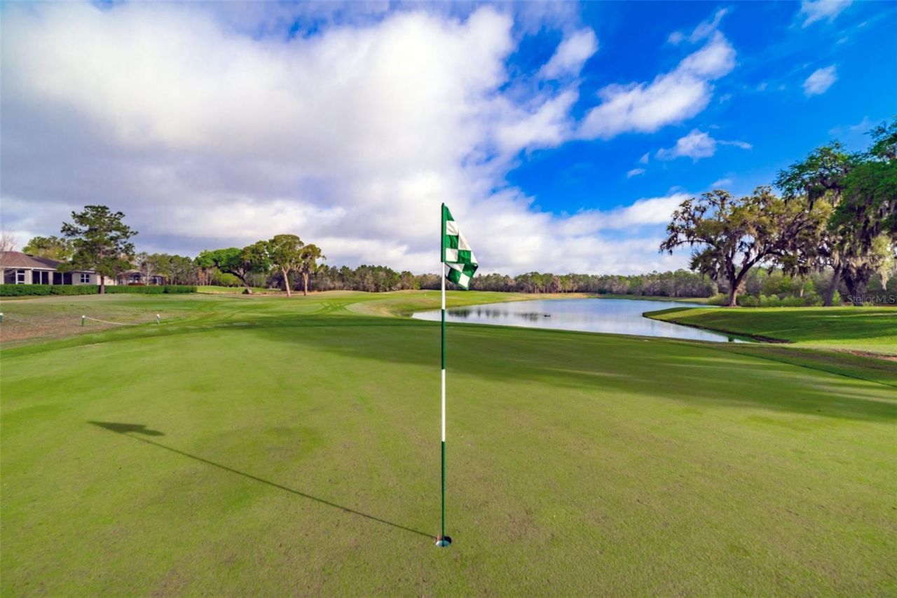 4347 Gevalia Drive, Brooksville, FL 34604 Photo