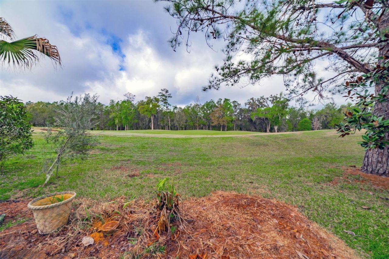 4347 Gevalia Drive, Brooksville, FL 34604 Photo