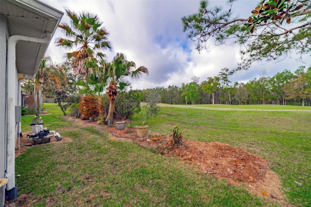 4347 Gevalia Drive, Brooksville, FL 34604 Photo