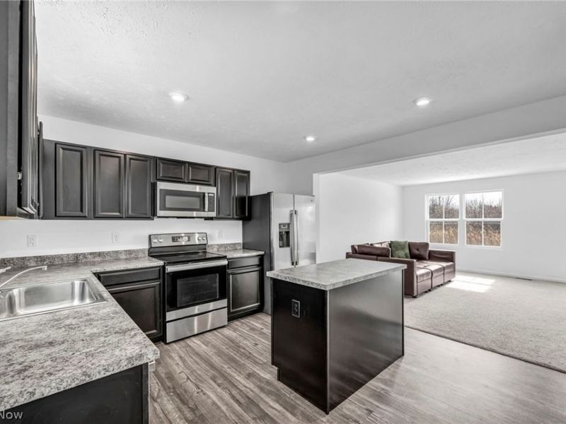 716 Pine Spring Drive, Painesville Township, OH 44077 Photo 11