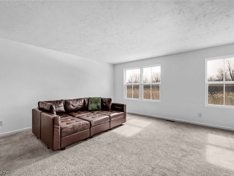 716 Pine Spring Drive, Painesville Township, OH 44077 Photo 17