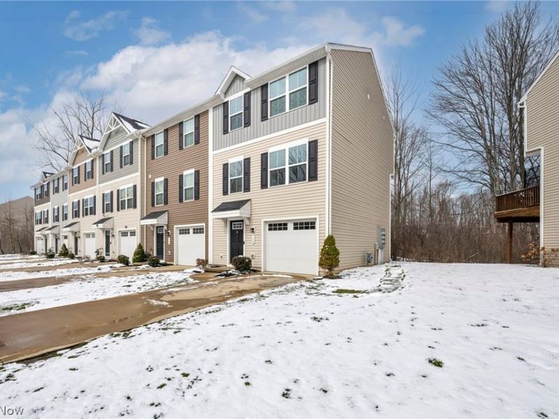 716 Pine Spring Drive, Painesville Township, OH 44077 Photo 3