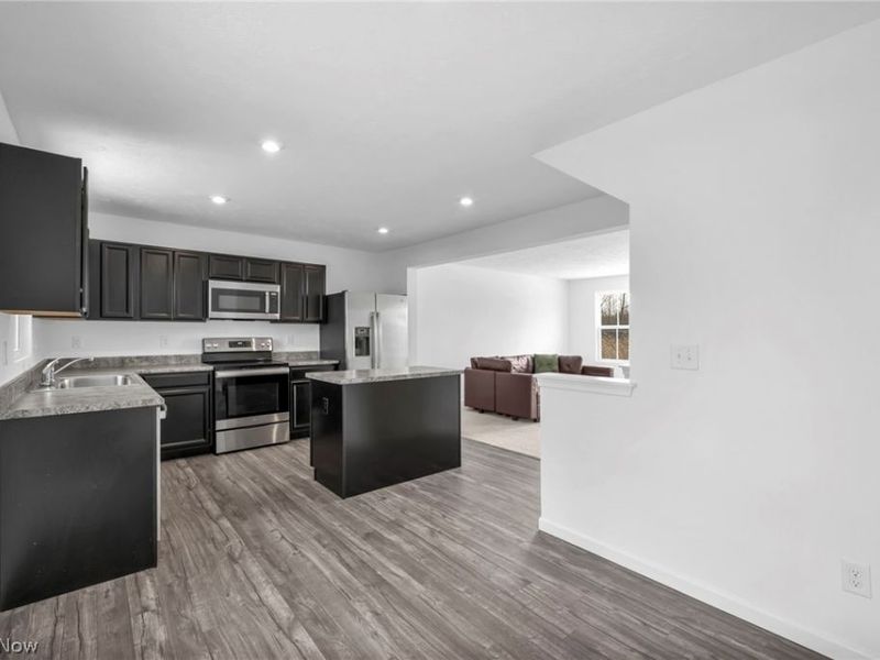 716 Pine Spring Drive, Painesville Township, OH 44077 Photo 9