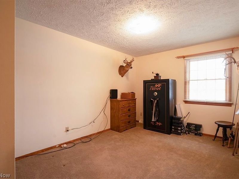 5239 Cadwallader Sonk Road, Fowler, OH 44418 Photo 20