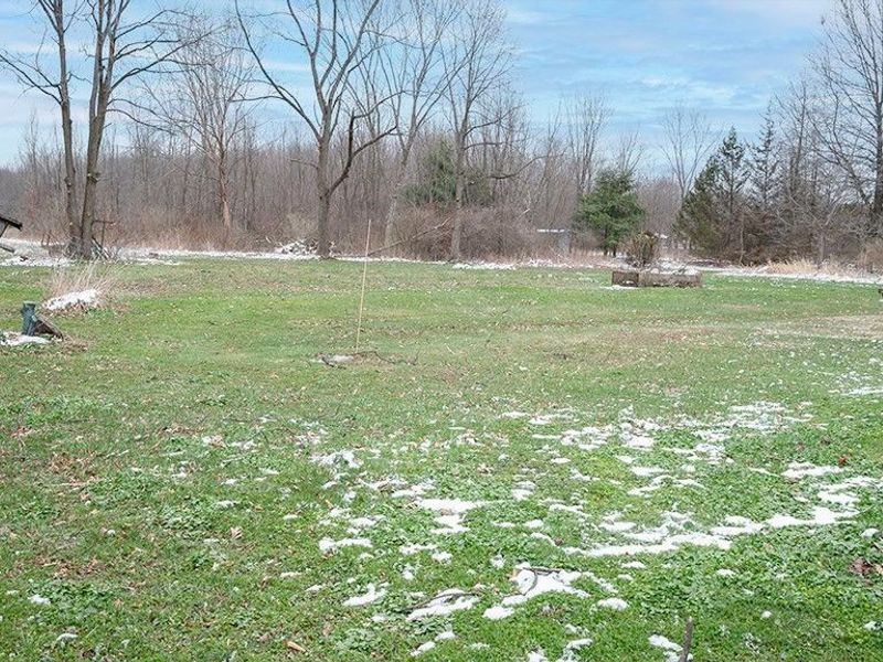 5239 Cadwallader Sonk Road, Fowler, OH 44418 Photo 25