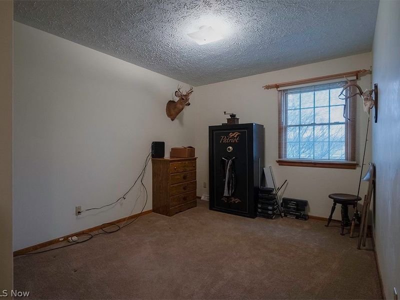 5239 Cadwallader Sonk Road, Fowler, OH 44418 Photo 26