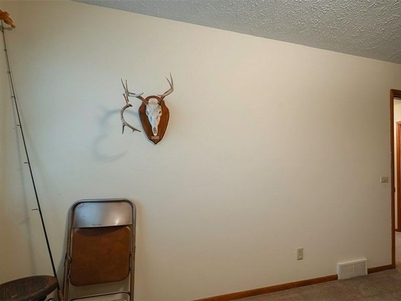 5239 Cadwallader Sonk Road, Fowler, OH 44418 Photo 27