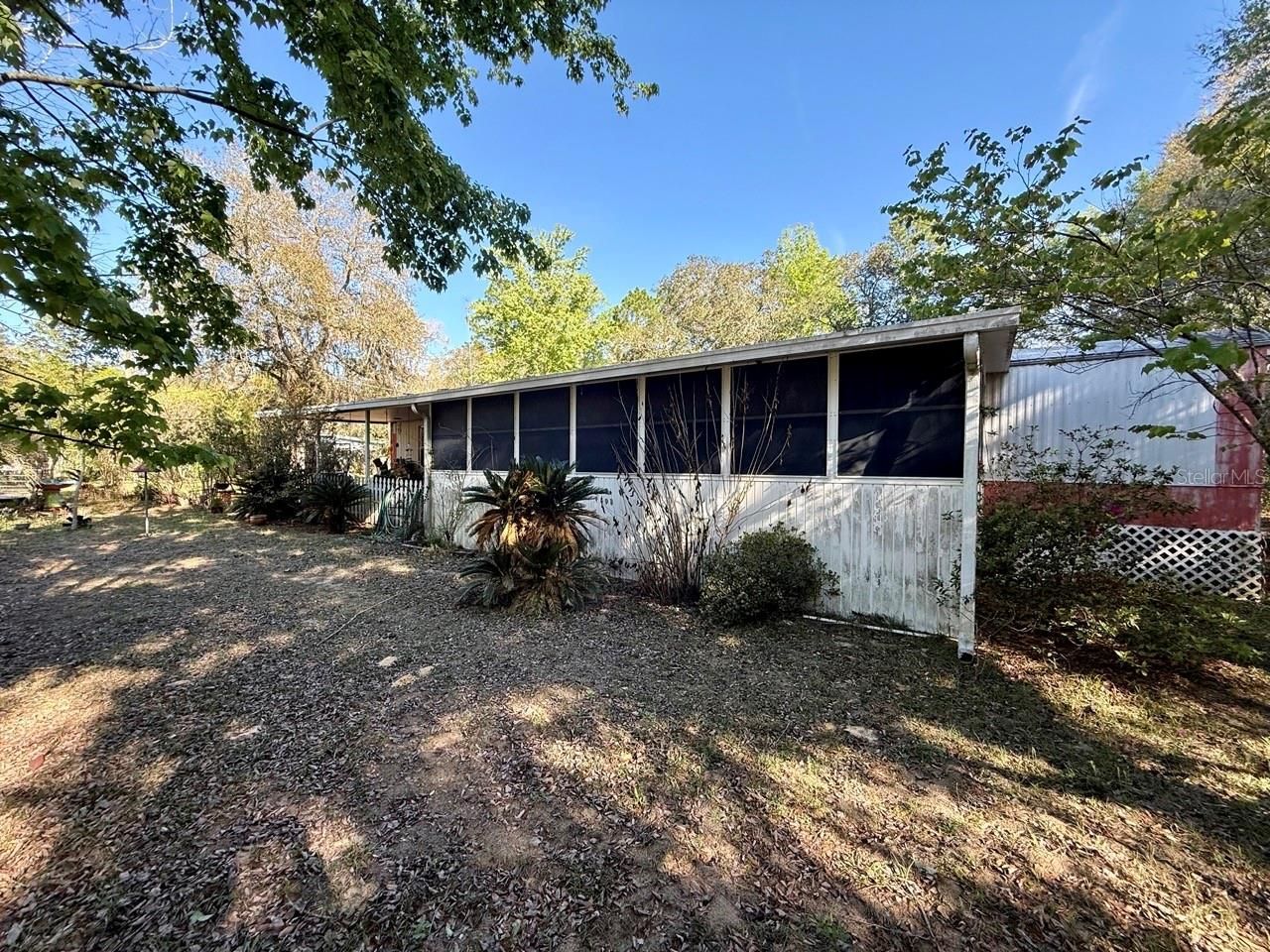 14051 NE 45th Place, Williston, FL 32696 Photo