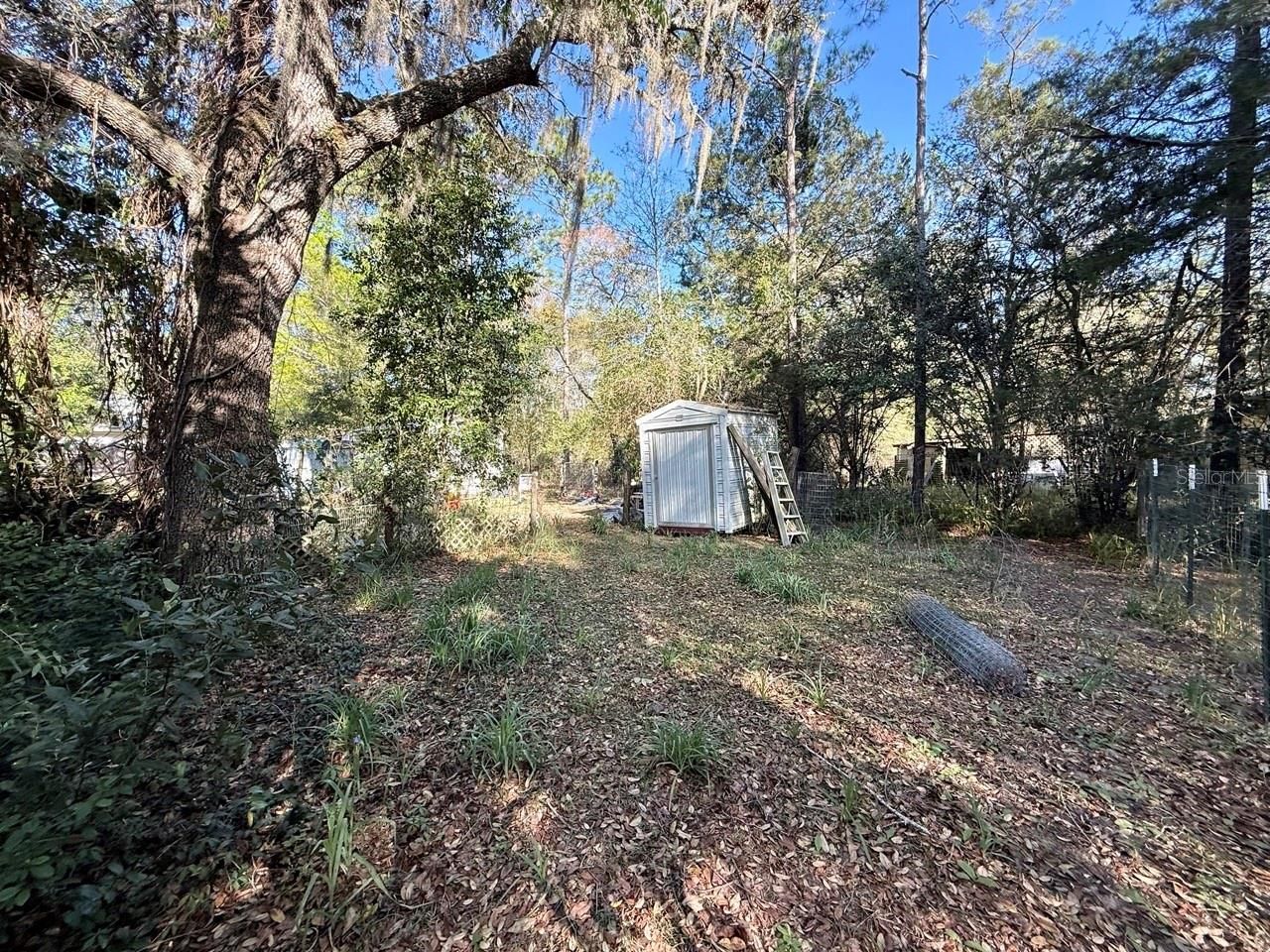 14051 NE 45th Place , Williston, FL 32696 Photo