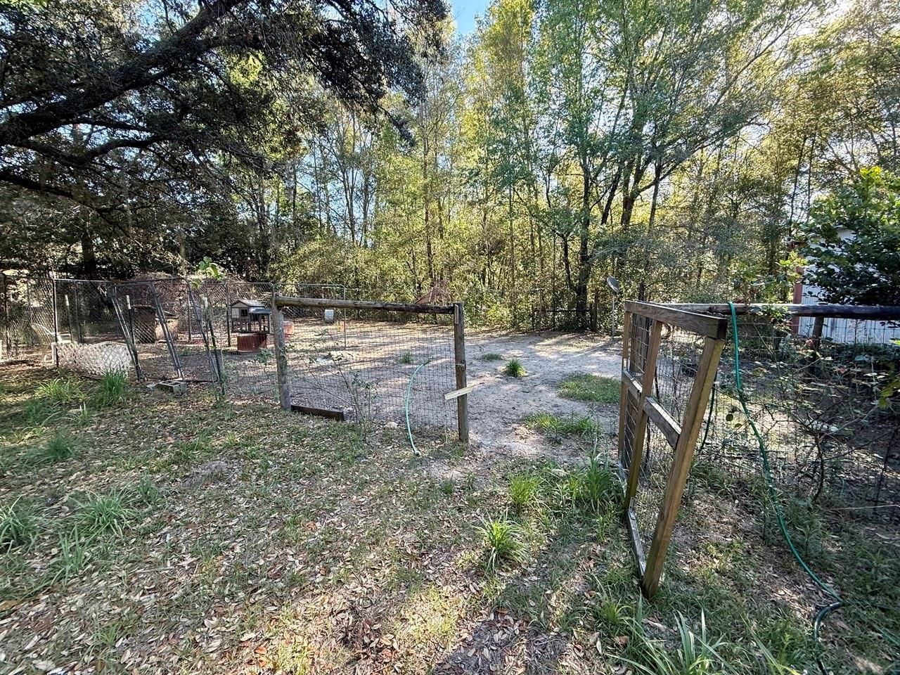 14051 NE 45th Place , Williston, FL 32696 Photo