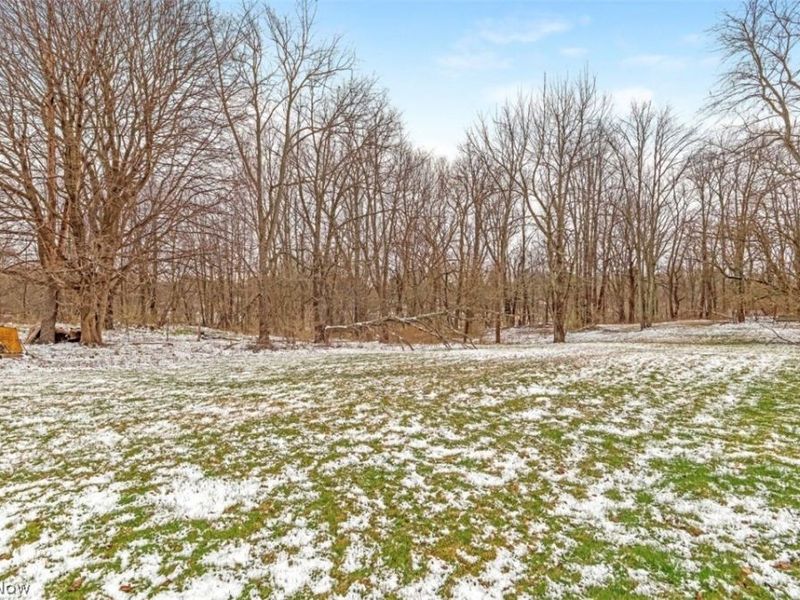 1190 Swartz Road, Akron, OH 44306 Photo 21