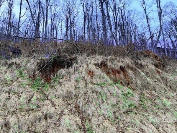 89 Weeping Cherry Forest Road, Fairview, NC 28730