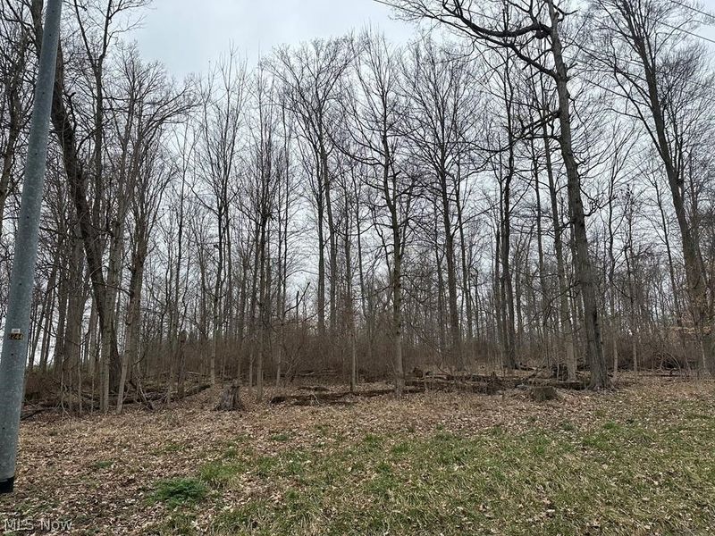 00 Grant Road, Howard, OH 44903 Photo 1