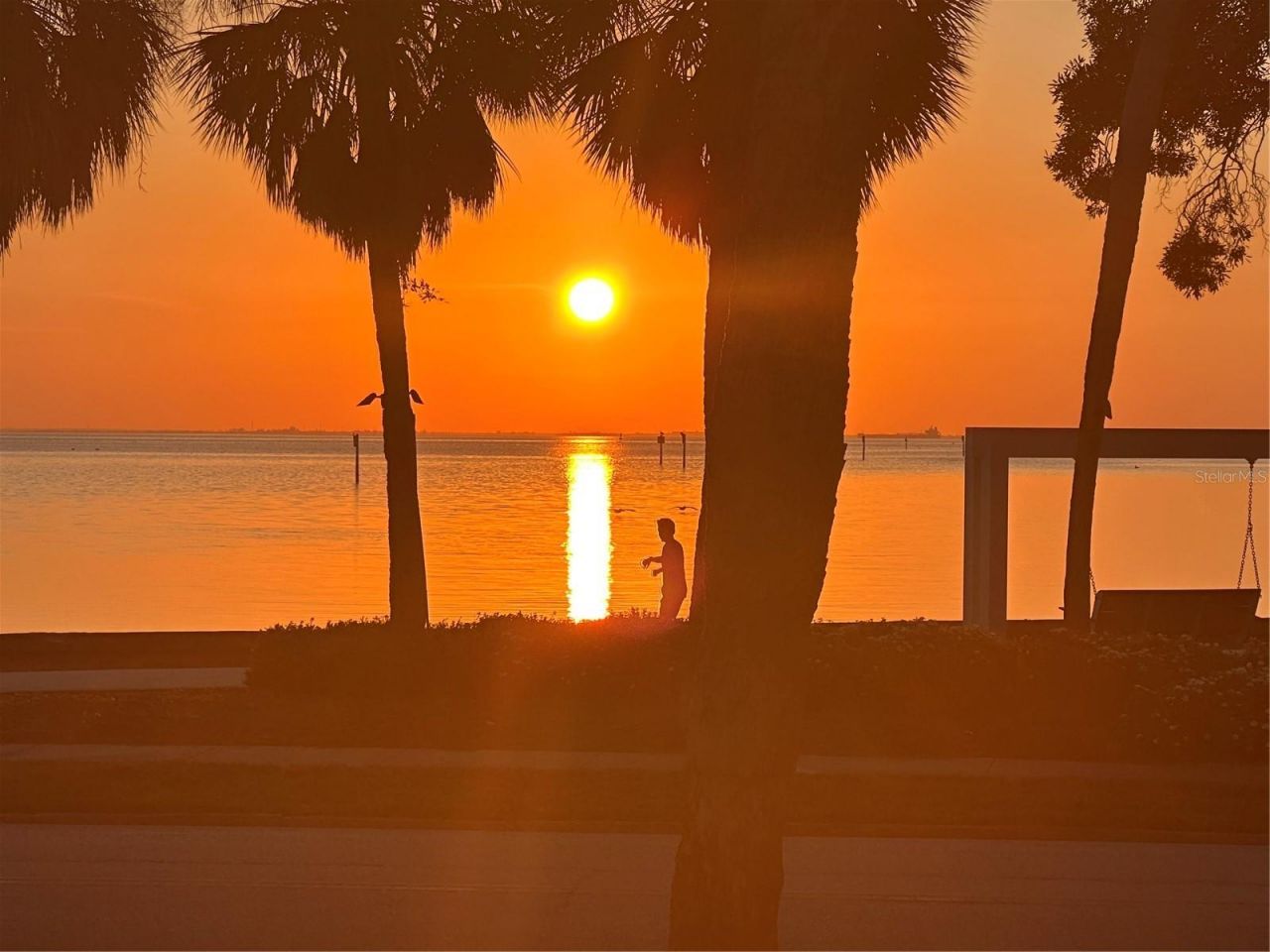 756 17th Avenue Ne, Saint Petersburg, FL 33704 Photo