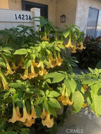 1423 W San Bernardino, Unit A, Covina, CA 91722 Main Photo