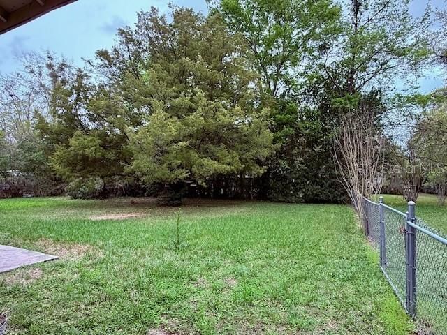 215 NW 8th Street , Williston, FL 32696 Photo