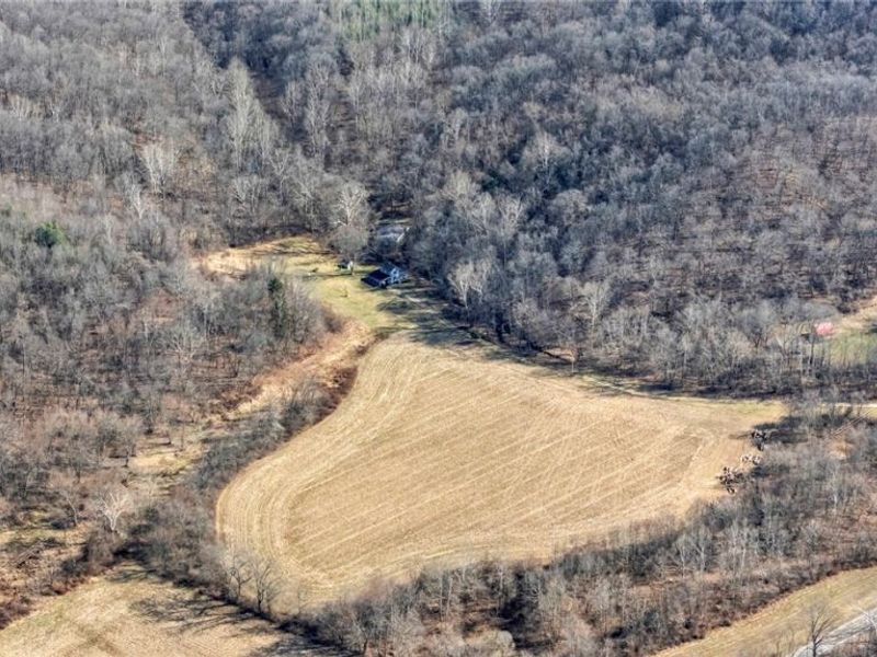 10200 N River Road, Dresden, OH 43821 Photo 12