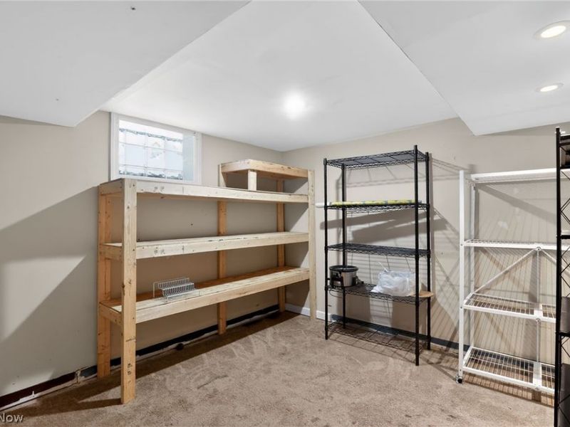 107 Renee Drive, Struthers, OH 44471 Photo 16