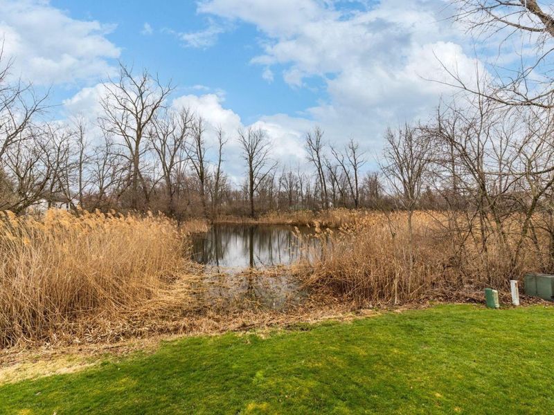 1047 Stone Ring Court, Columbus, OH 43240 Photo 35