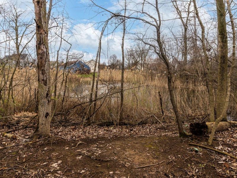 1047 Stone Ring Court, Columbus, OH 43240 Photo 41