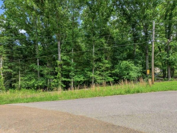 1 Beech Loop , Somerville, TN 38068