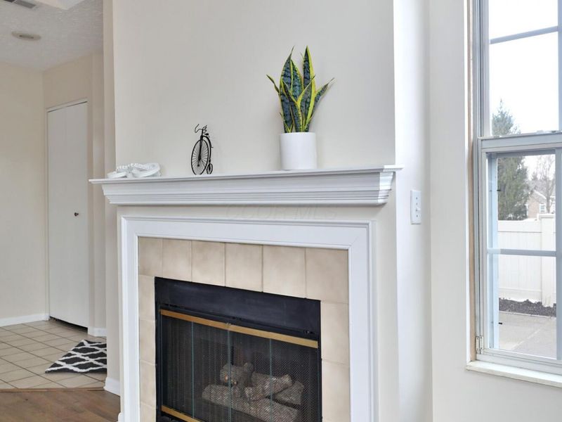 354 Bear Woods Drive, Powell, OH 43065 Photo 9