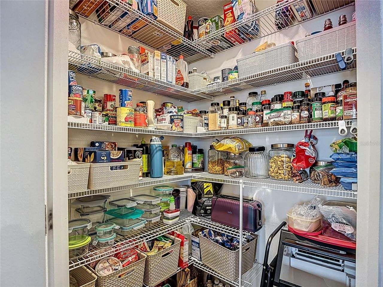 38287 Sonnet Landing Avenue, Zephyrhills, FL 33540 Photo