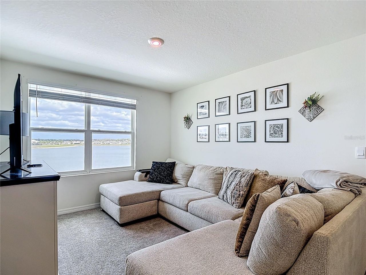 38287 Sonnet Landing Avenue, Zephyrhills, FL 33540 Photo