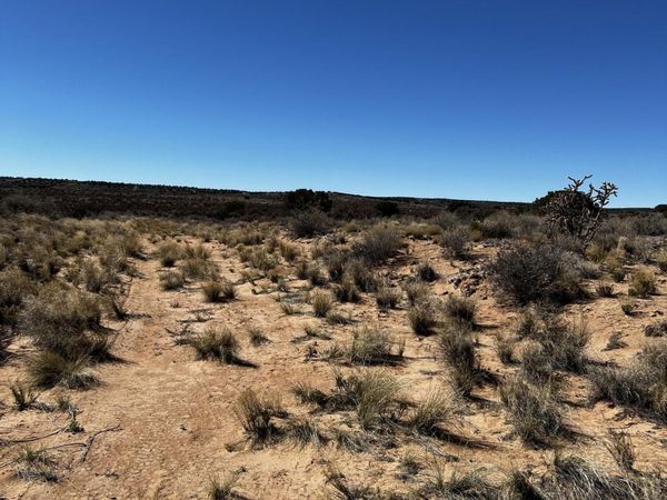 Matane Road NW, Rio Rancho, NM 87144