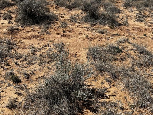 Lot 12 W W. Mora Drive, Belen, NM 87002