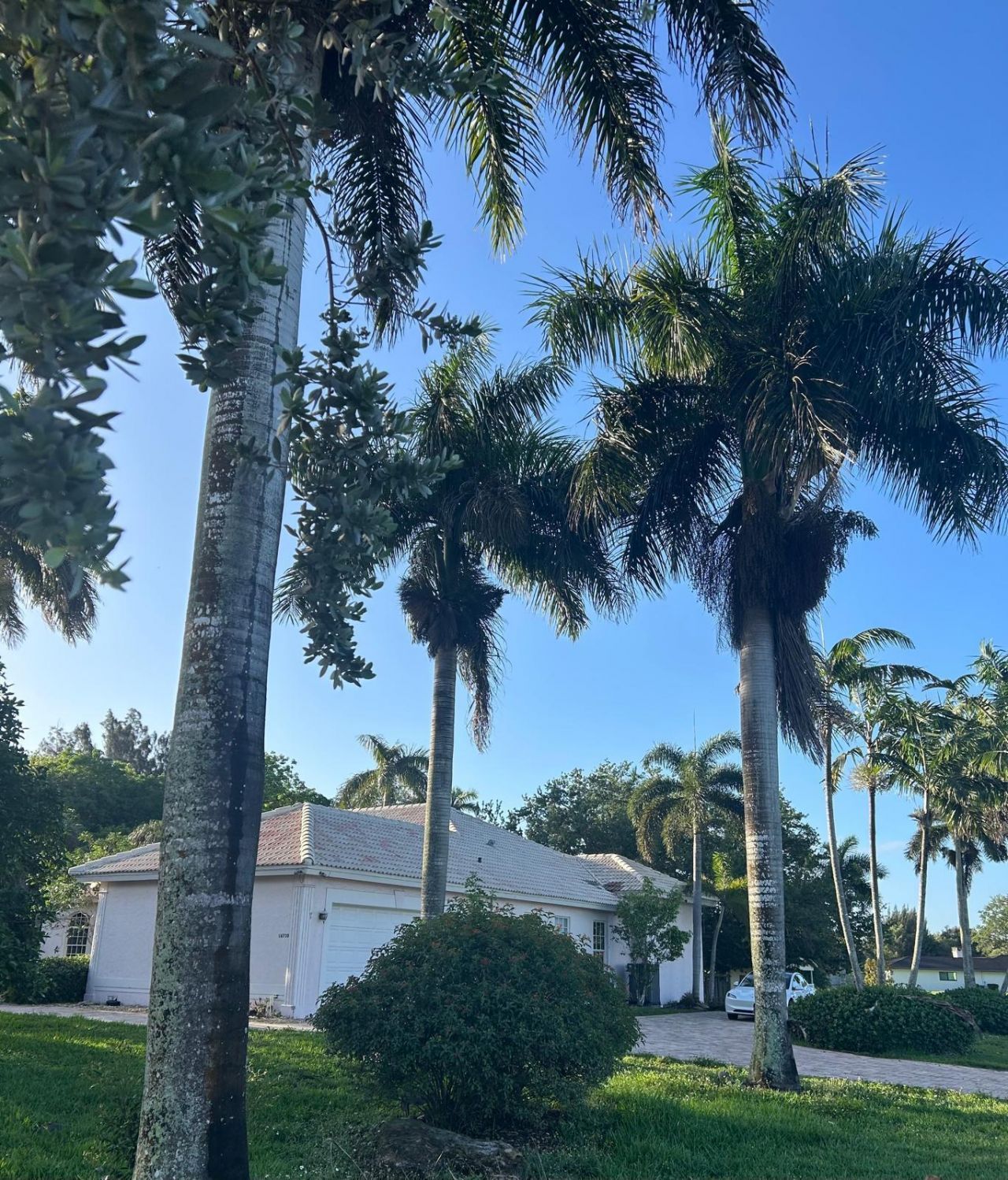 16730 Griffin Road, Southwest Ranches, FL 33331 Photo