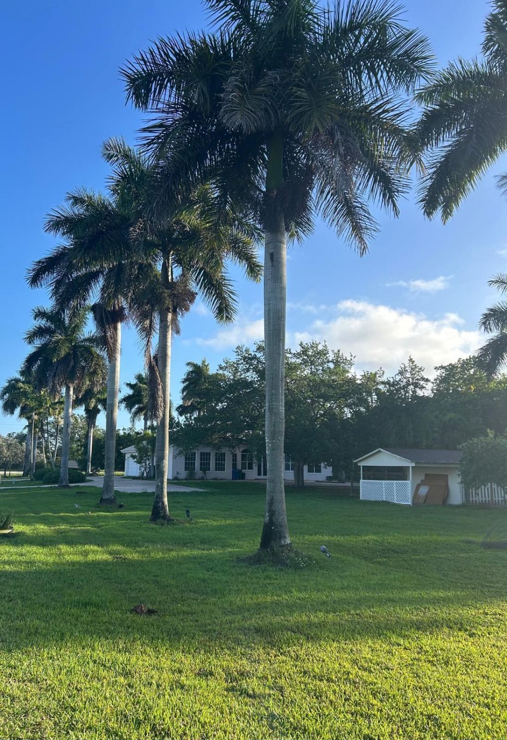 16730 Griffin Road, Southwest Ranches, FL 33331 Photo