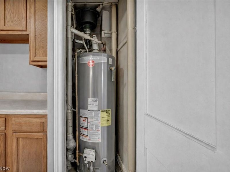 12309 Brookfield Avenue, Cleveland, OH 44135 Photo 18