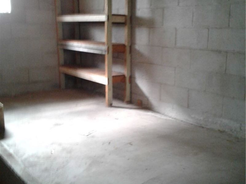 613 Jackson Street, Amherst, OH 44001 Photo 25