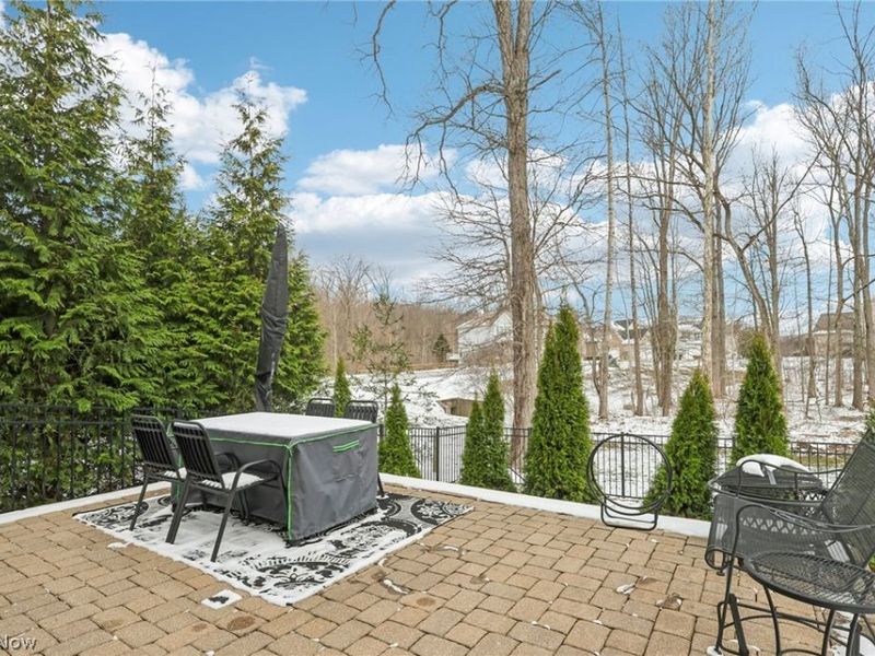 3645 Firethorn Drive, Aurora, OH 44202 Photo 25