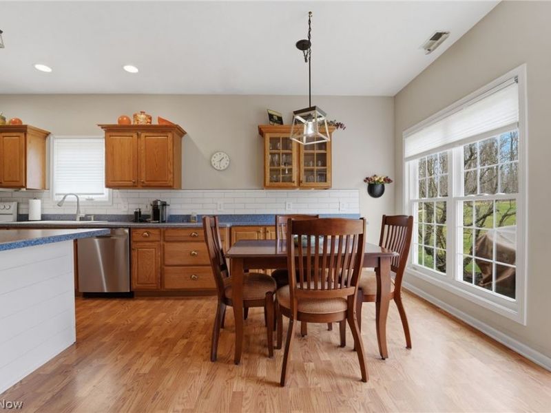 737 Elmwood Point, Aurora, OH 44202 Photo 23