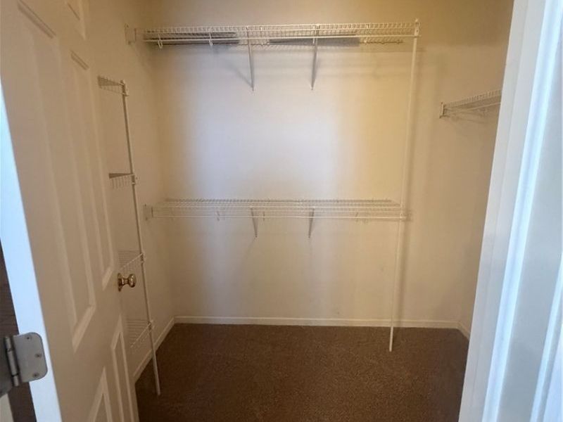 3649 Indian Run Drive, Canfield, OH 44406 Photo 15