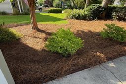 213 Ashmont Drive photo 4