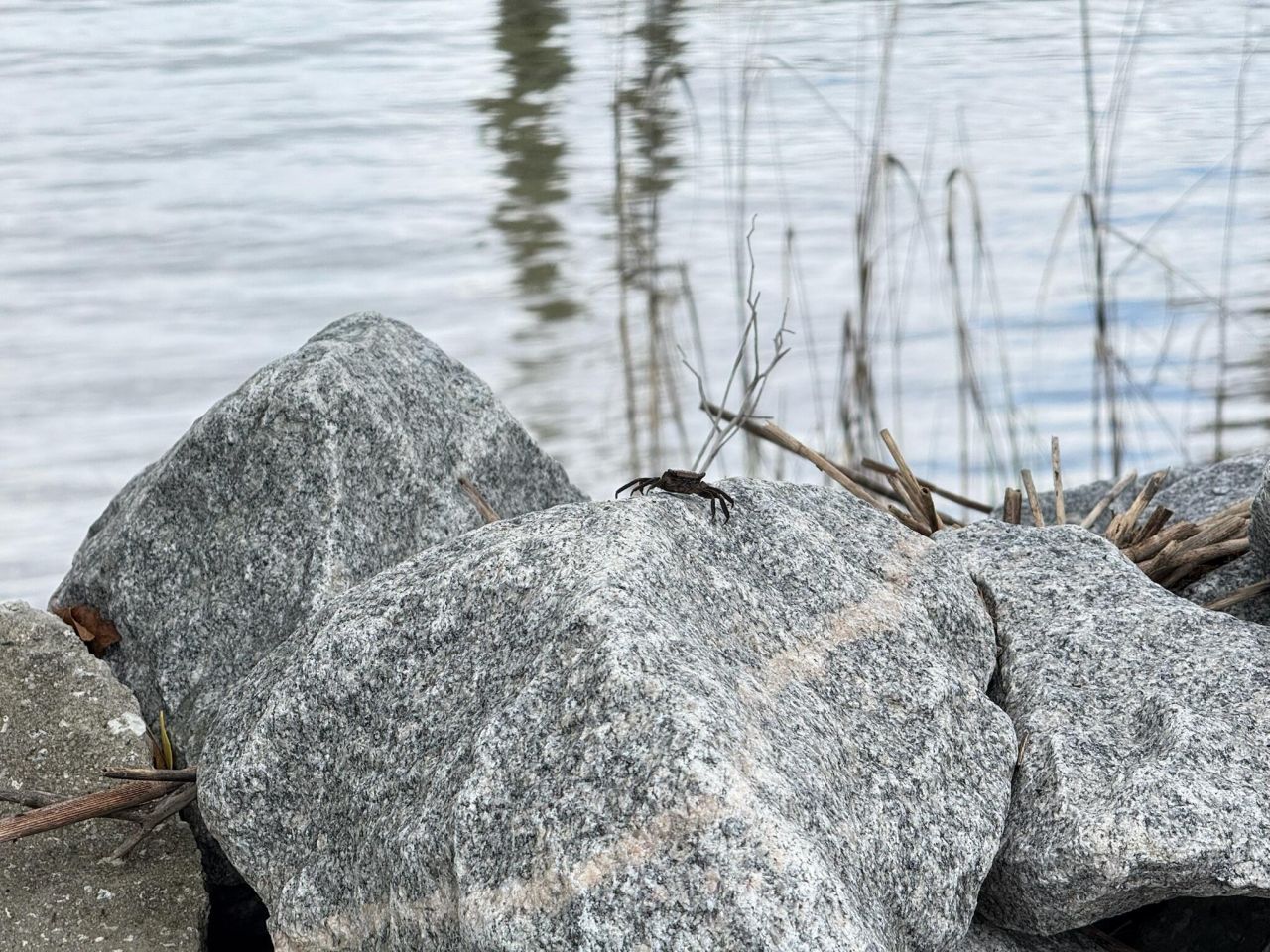 213 Ashmont Drive Photo 42