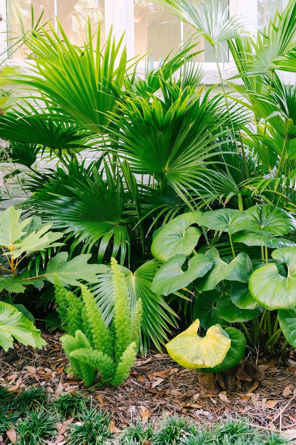 1710 Atlantic Avenue Photo 48