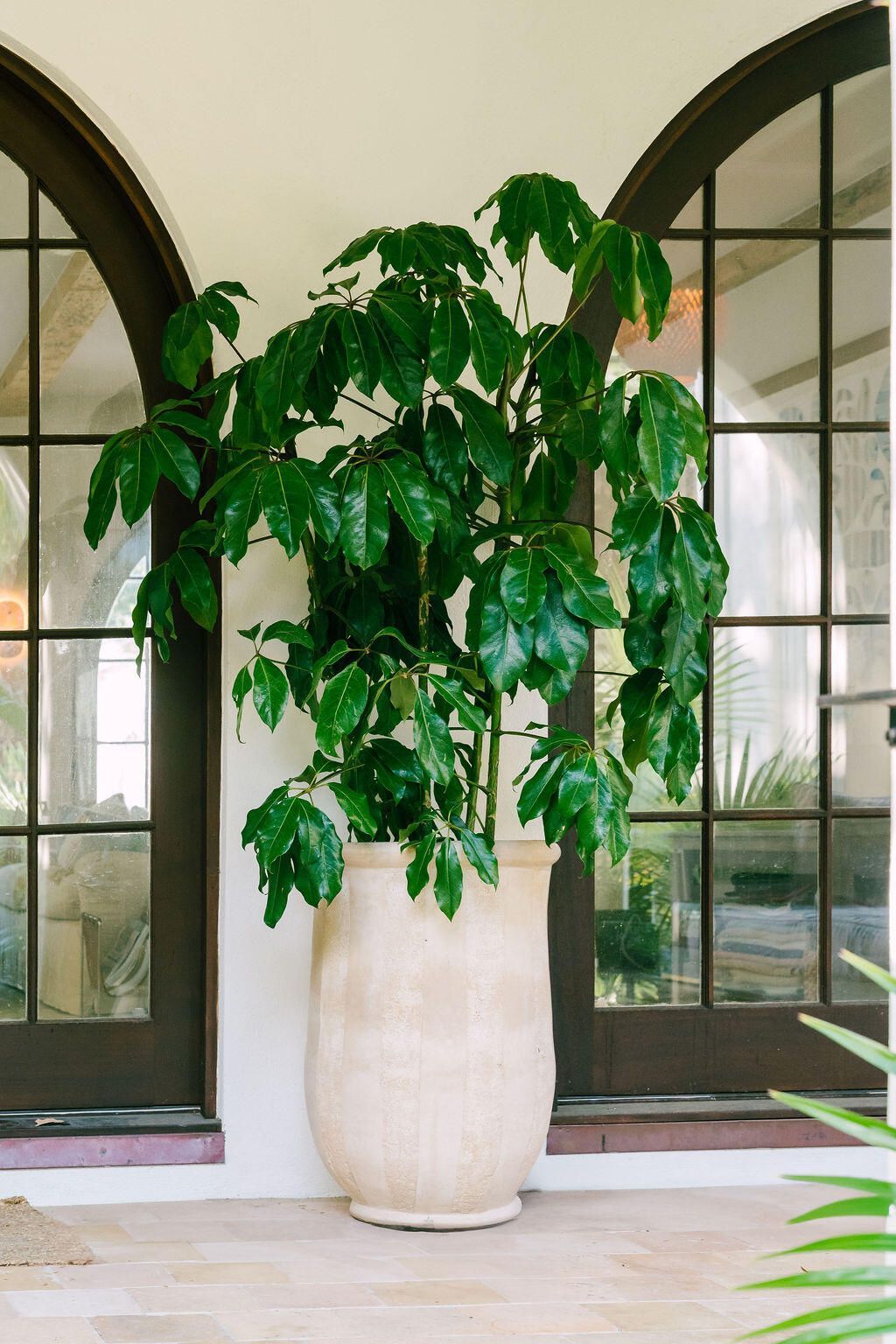 1710 Atlantic Avenue Photo 57