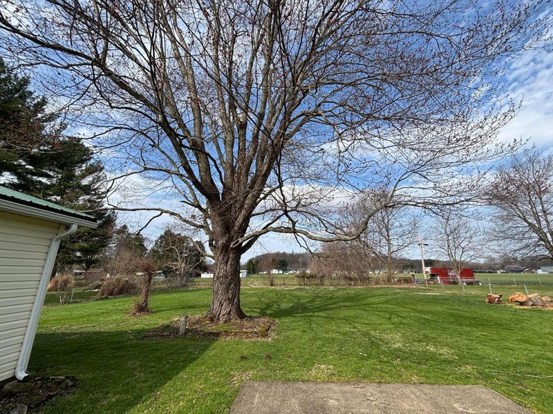 41 Oregon Avenue, Newark, OH 43055 Photo 49