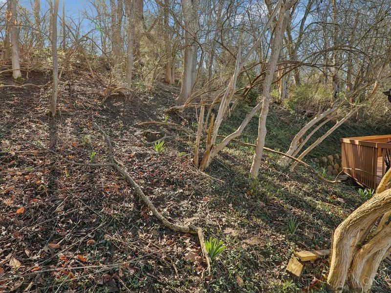 115 Miami Lakes Drive, Unit 1, Milford, OH 45150 Photo 41