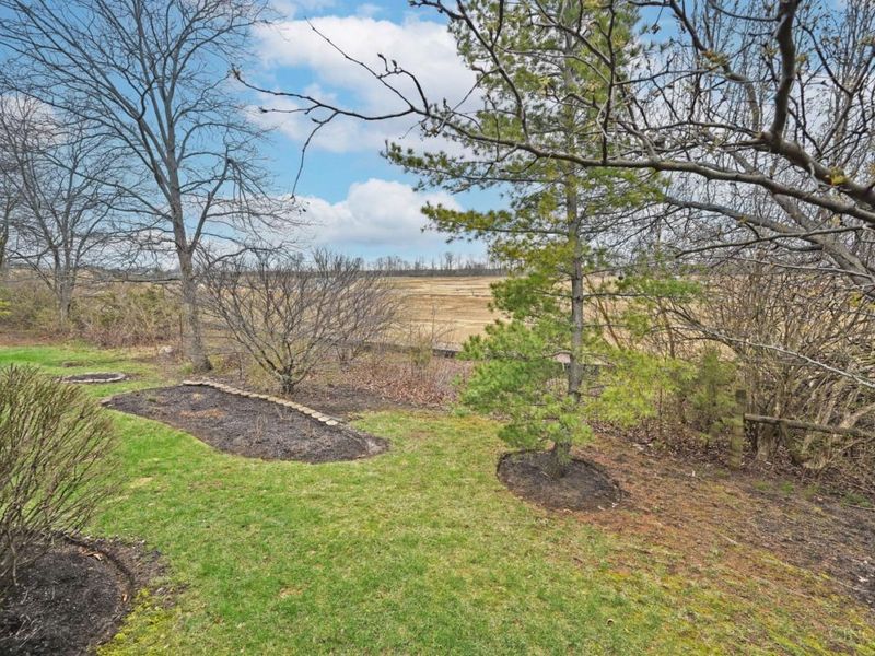 8036 Cast A Way, Mason, OH 45040 Photo 43