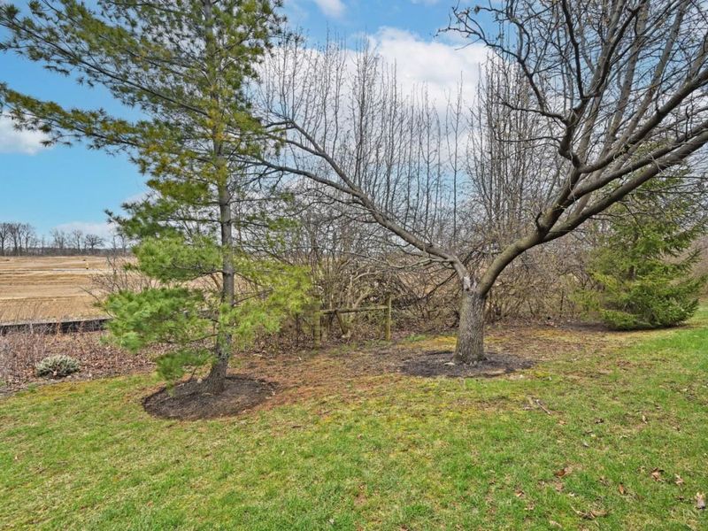 8036 Cast A Way, Mason, OH 45040 Photo 44