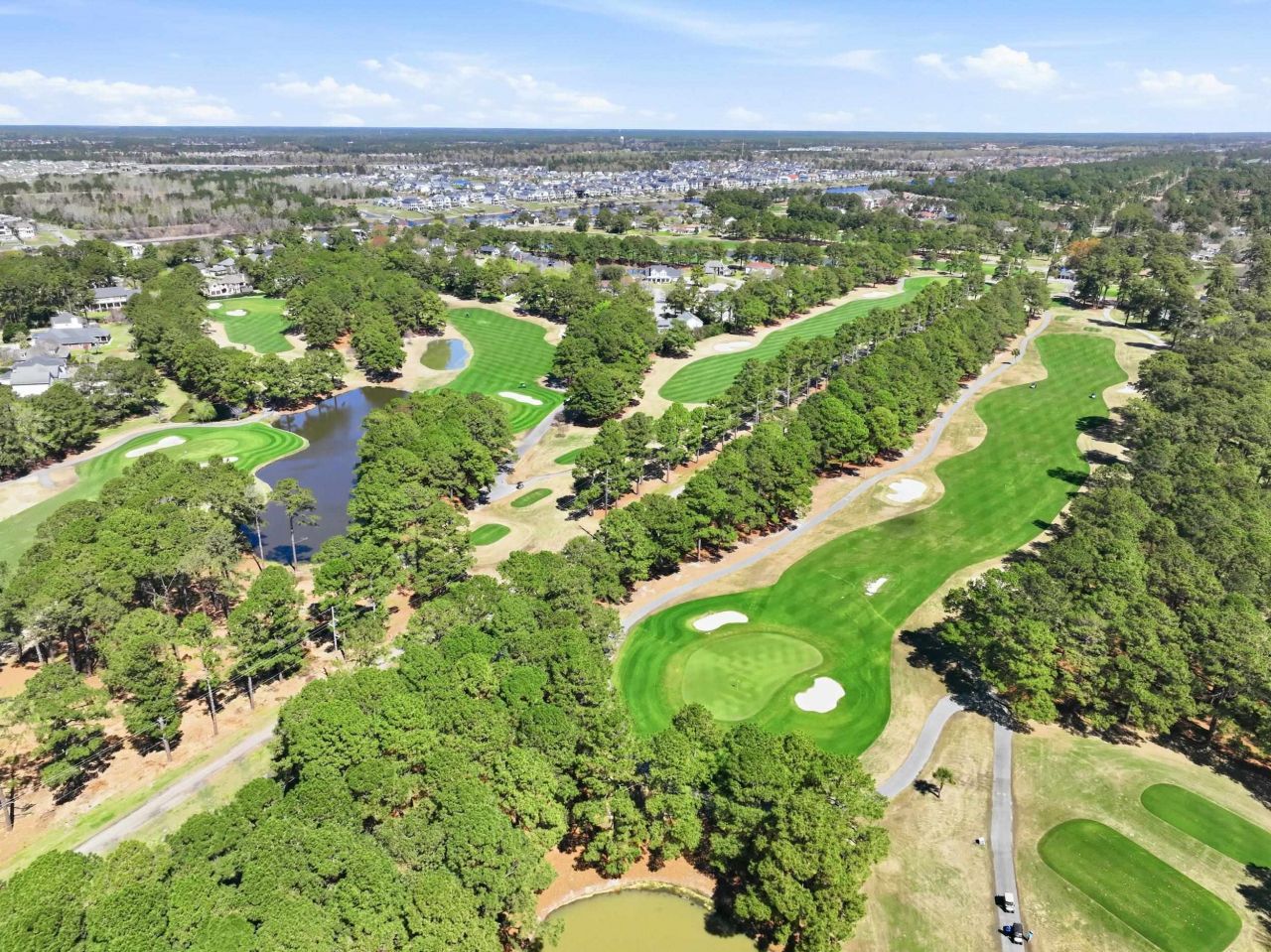 3015 Old Bryan Dr. Photo 38