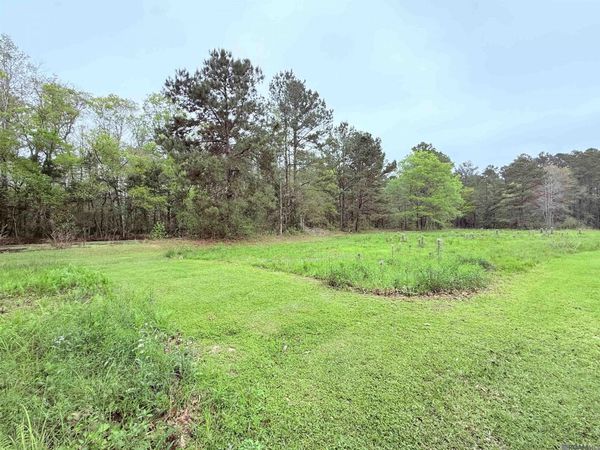 19425 Grantham Rd, Livingston, LA 70754